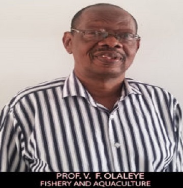 Prof. Olaleye Victor Folorunsho
Fisheries & Aquaculture